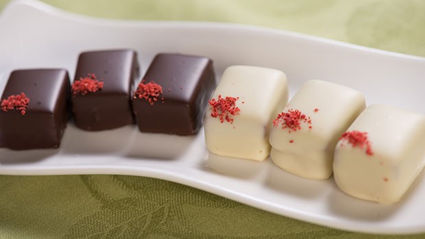 Chocolate Candies Filled with Pistachio Gianduja with Apricots  